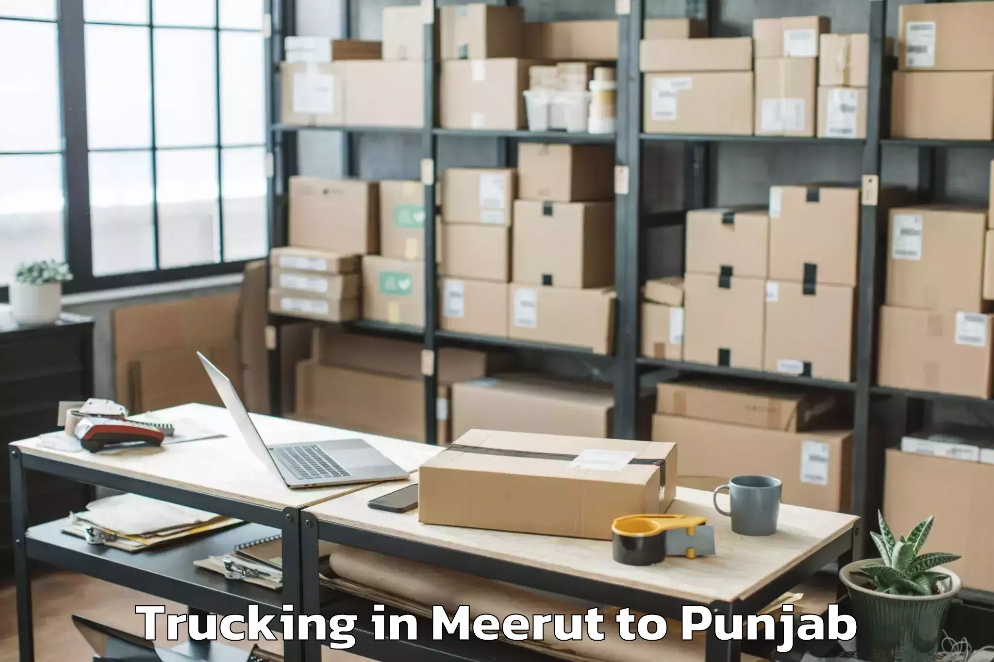 Book Meerut to Badhni Kalan Trucking Online